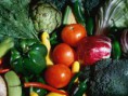 LEGUMES SELECIONADOS